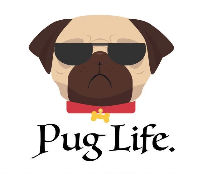 Pug